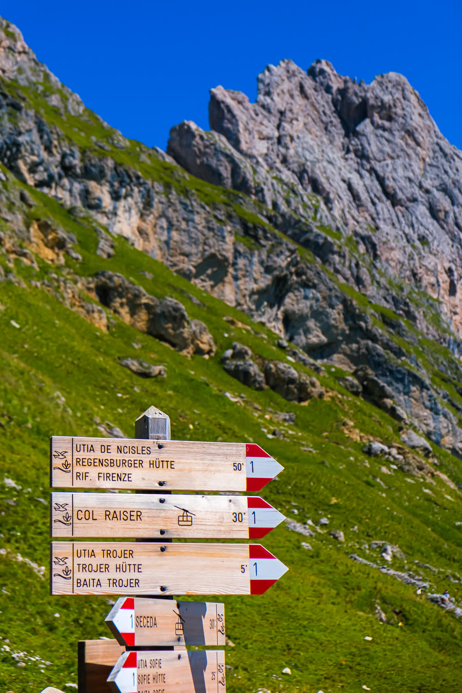 A wooden trail signpost on a green alpine hillside