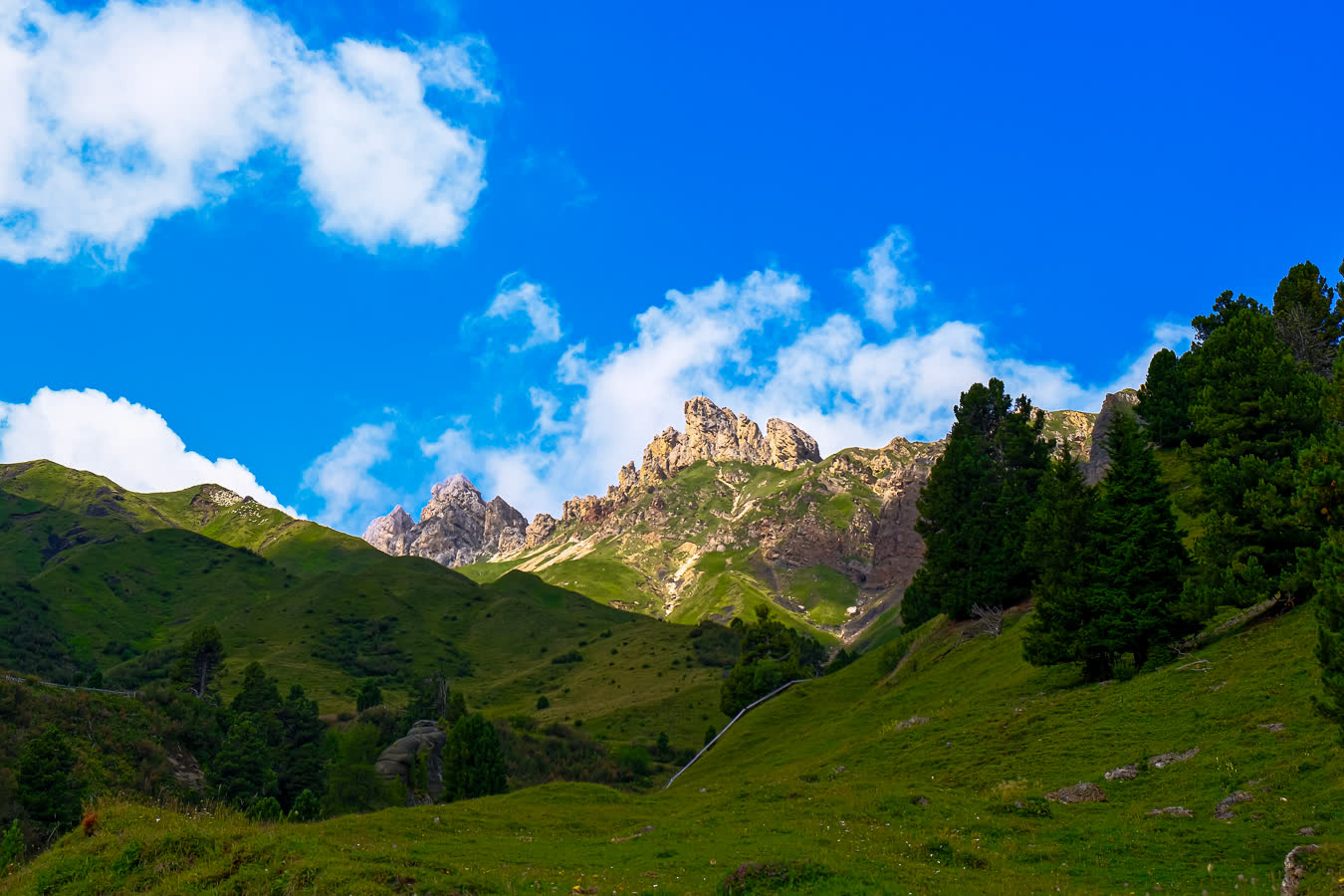A green hillside rising to a ridge line