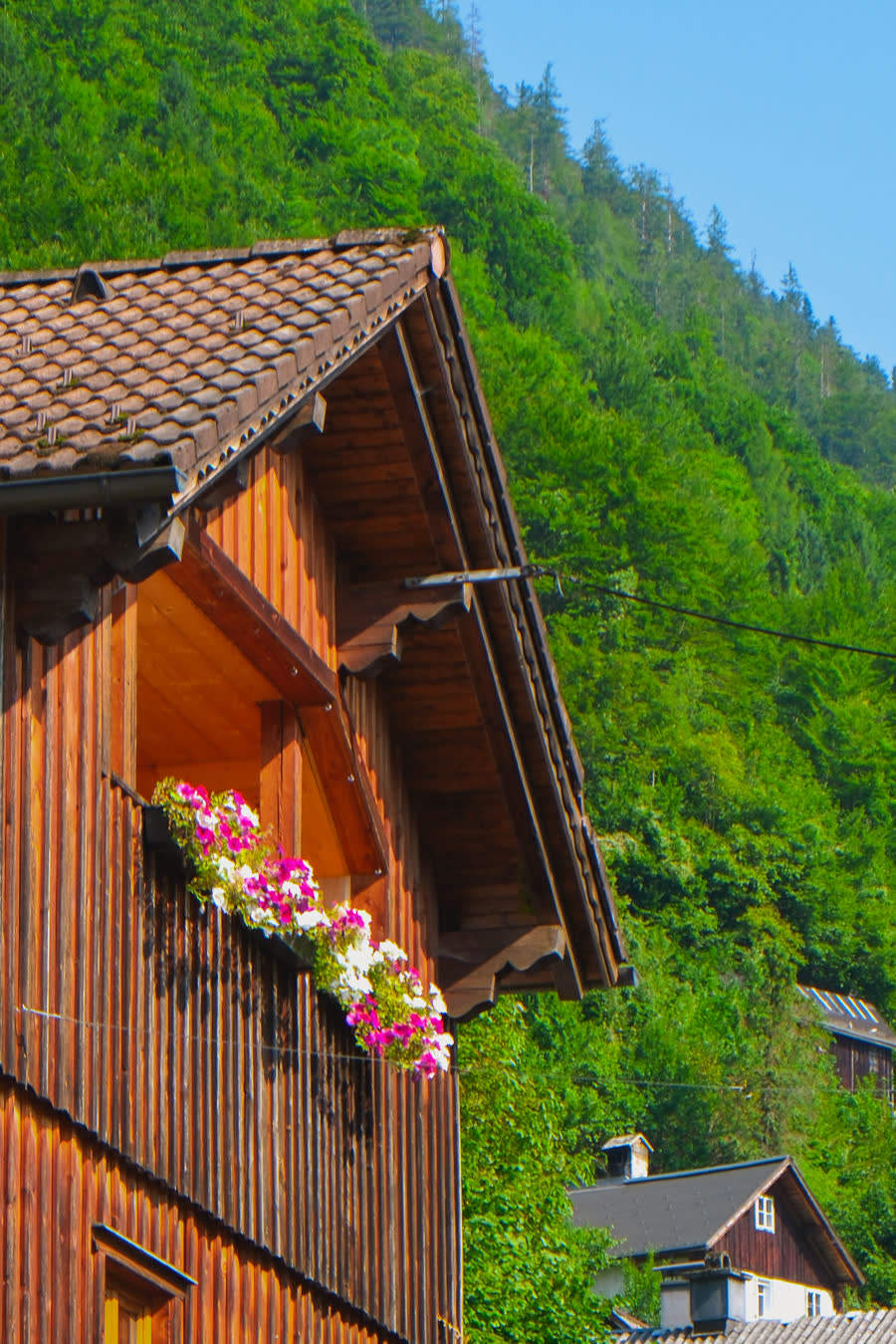 A timber chalet eave with window boxes in bloom