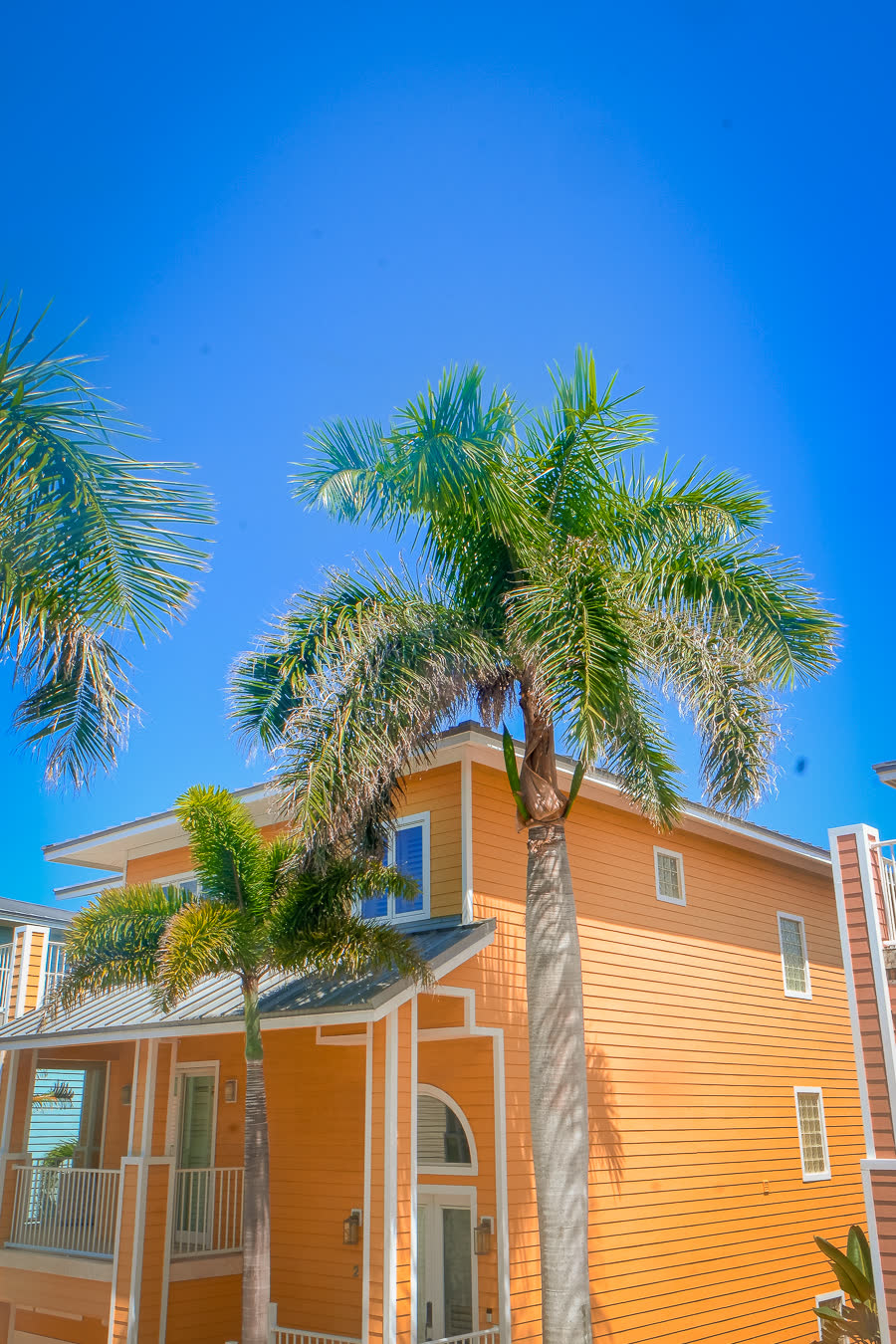 An orange clapboard house behind a palm against a hard blue sky