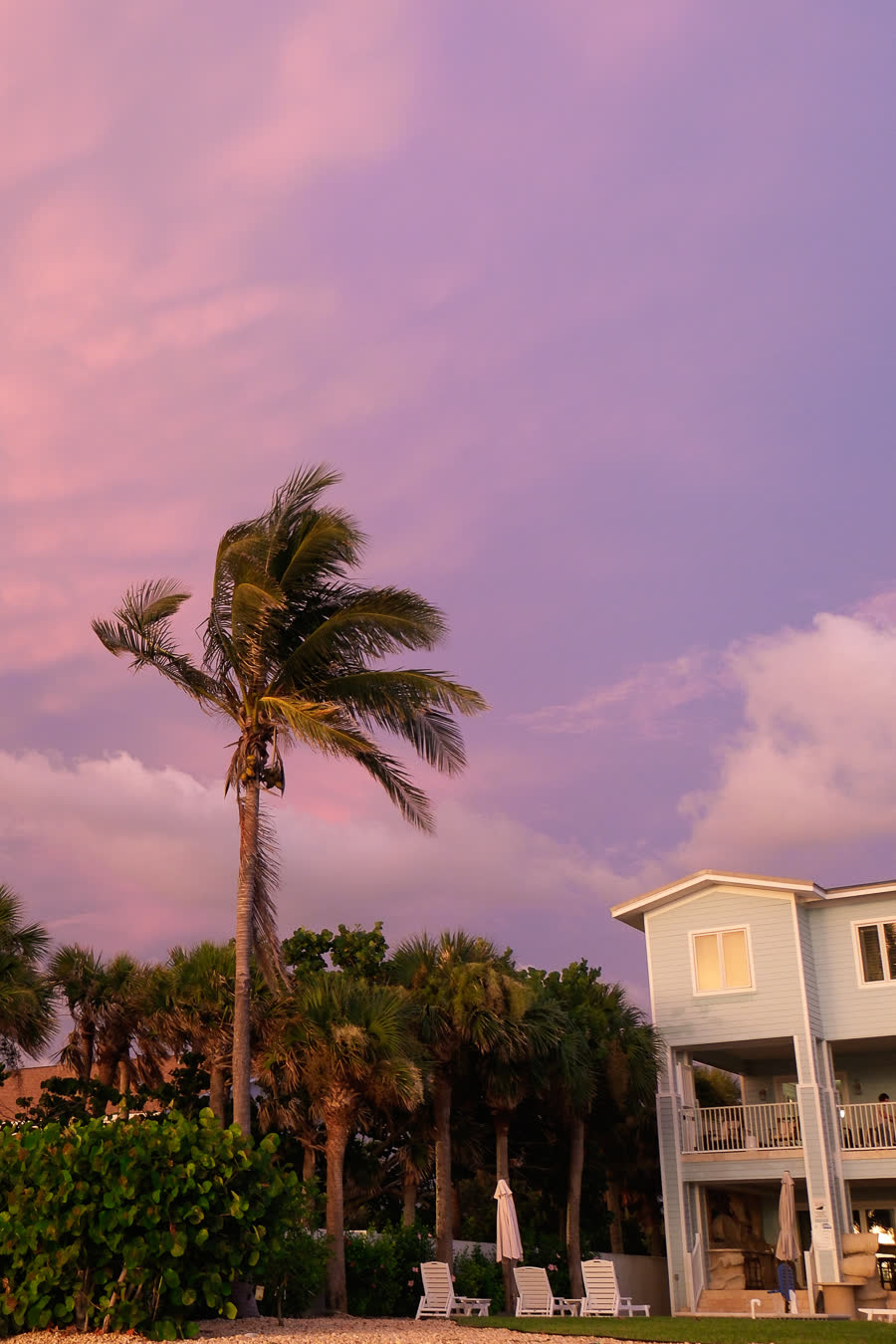 Palms bending at a pink sunset over a beach house